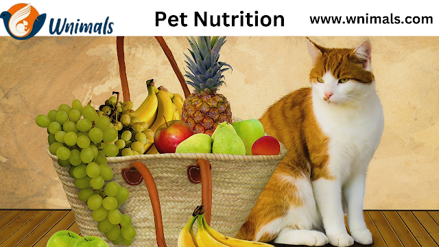 Healthy Pet Nutrition