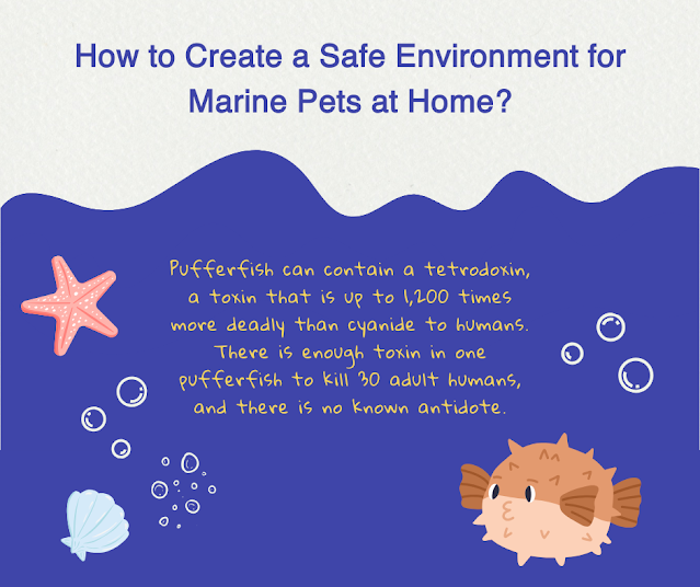 Marine Pets Safety